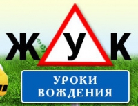  Жук - Логотип